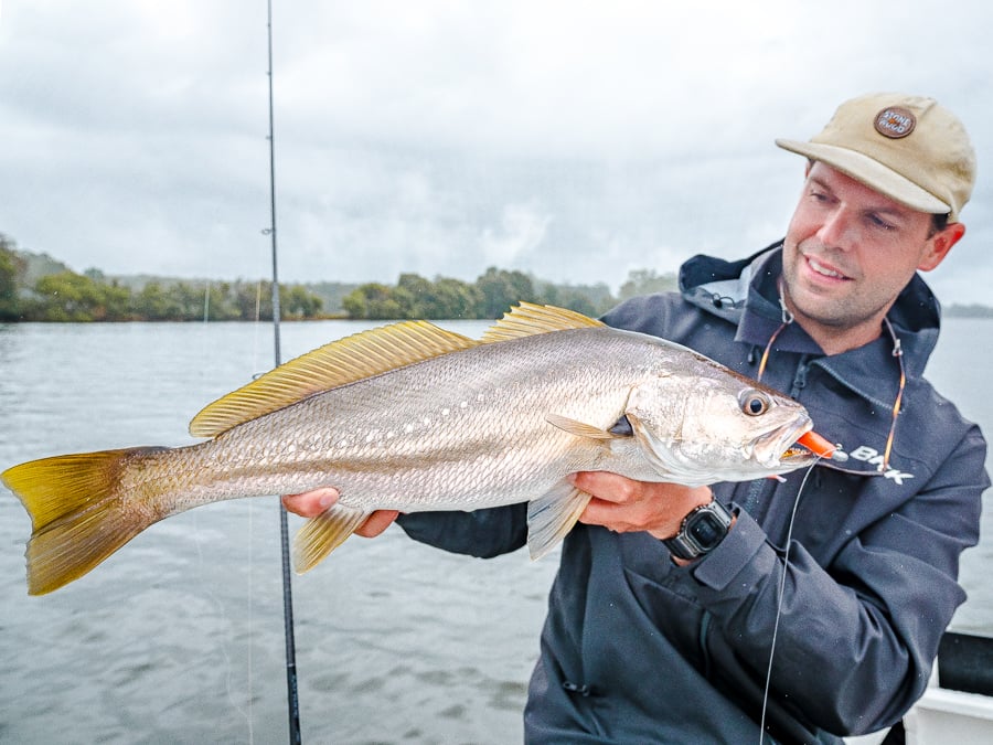 castaway estuary fishing charters hastings river jewfish
