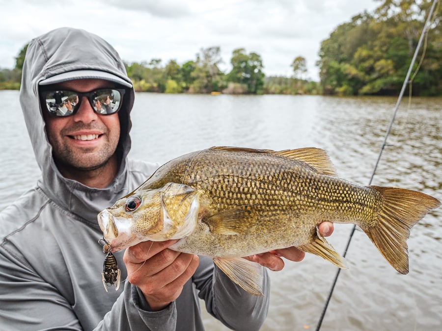 castaway estuary fishing charters macleay river bass