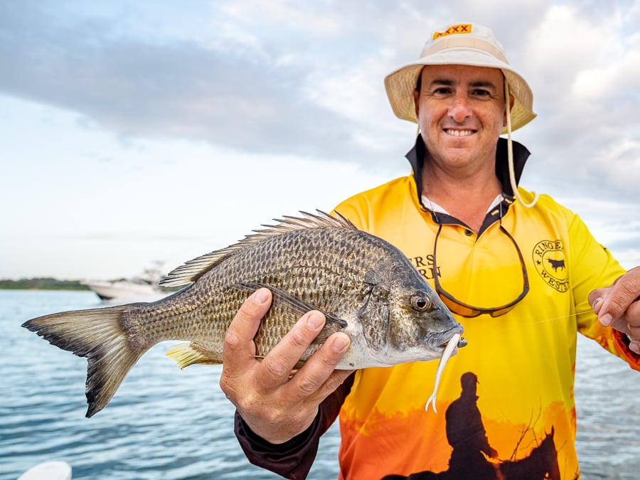 castaway estuary fishing charters macleay river bream