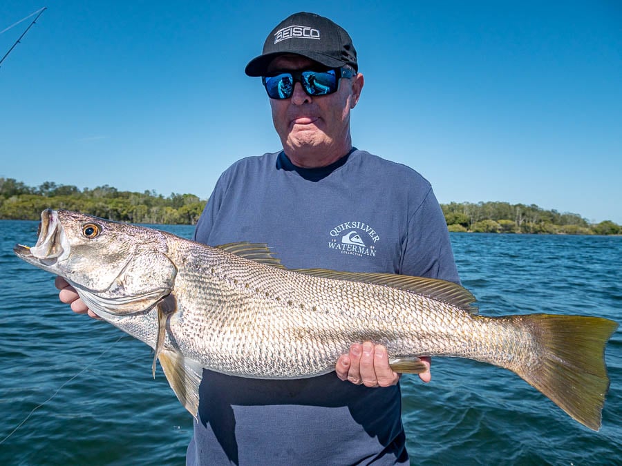 castaway estuary fishing charters mulloway (jewfish)