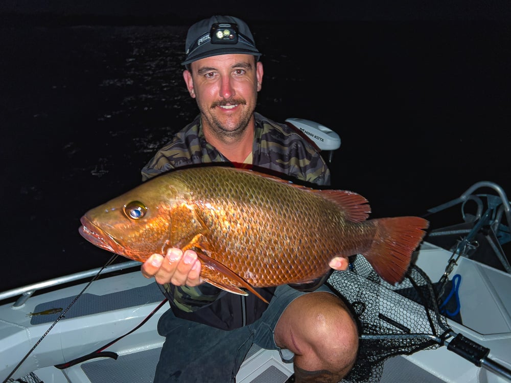 clarence-river-mangrove-jack