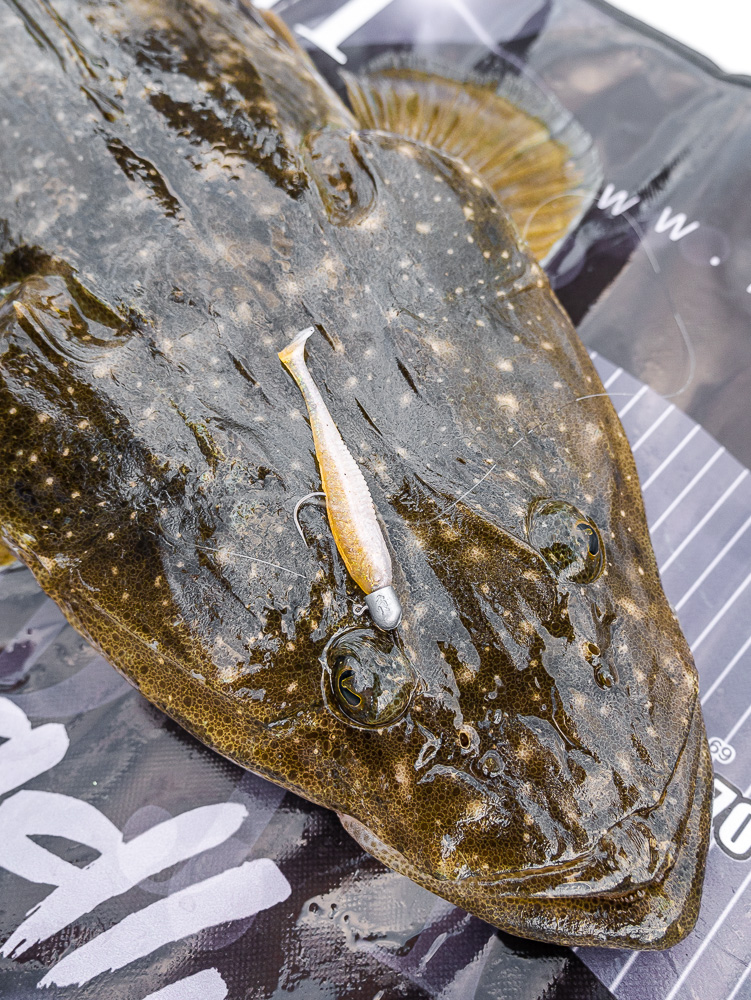 estuary-fishing-lure-flathead-soft-plastic-7