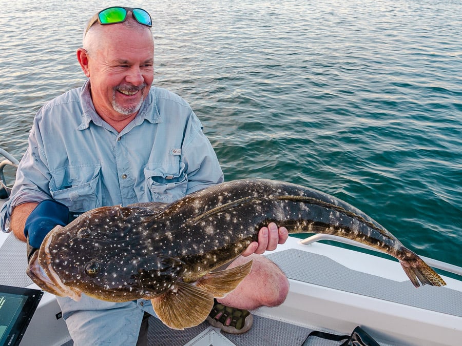hastings-river-dusky-flathead