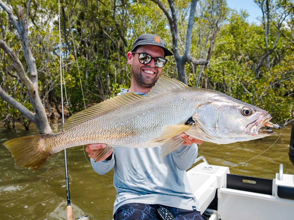 hastings-river-mulloway-patrick-linehan