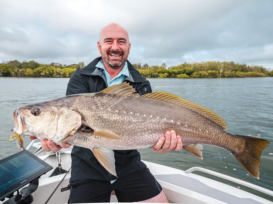 hastings_river_mulloway_angus
