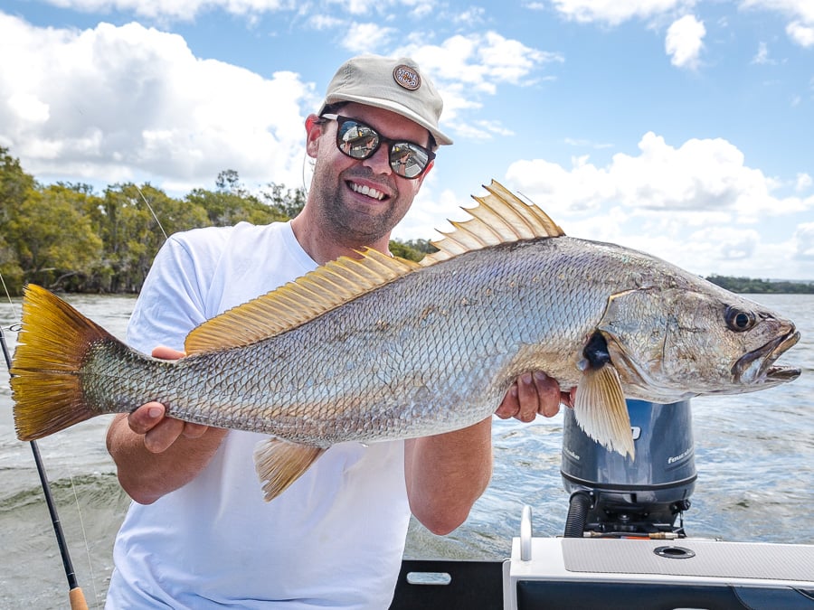 manning_river_mulloway